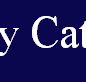 McCarthy Catholic College Tamworth - Melbourne School