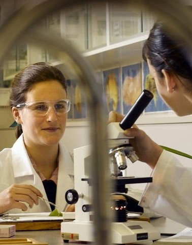 Siena College - Melbourne School 2