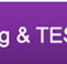 Institute of Continuing and Tesol - Melbourne School