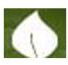 SA COLLEGE OF NATURAL AND TRADITIONAL MEDICINE PTY LTD - Melbourne School