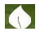 SA COLLEGE OF NATURAL AND TRADITIONAL MEDICINE PTY LTD - Melbourne School 0