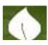 SA COLLEGE OF NATURAL AND TRADITIONAL MEDICINE PTY LTD - Melbourne School