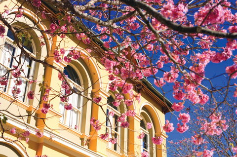 Brisbane Girls Grammar School - Melbourne School 3