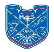 Mcauley Catholic Central School - Melbourne School
