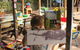 Currambena Primary And Pre-school - thumb 4