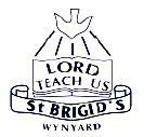 St Brigid's School Wynyard - Melbourne School