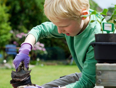 Casa Mia Montessori Community School (inc) - Melbourne School 3