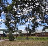 Clayton View Primary School - Melbourne School