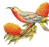 Coodanup Community College - Melbourne School