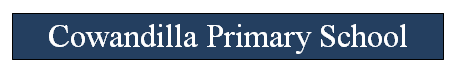 Cowandilla Primary School - thumb 0
