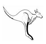 Kangarilla Primary School - Melbourne School