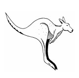 Kangarilla Primary School - Melbourne School 0