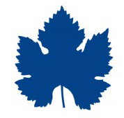 Mclaren Vale Primary School - Melbourne School