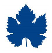 Mclaren Vale Primary School