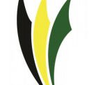 Ascot Park R-7 Specialist Physical Education and Sport School - Melbourne School