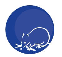 Mylor SA Melbourne School
