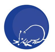 Mylor Primary School - Melbourne School