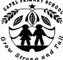 Capel Primary School - Melbourne School