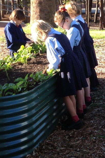 Good Shepherd Catholic Primary School Kelmscott - Melbourne School 3
