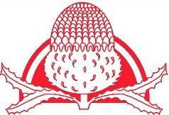 Waddington Primary School - Melbourne School 0