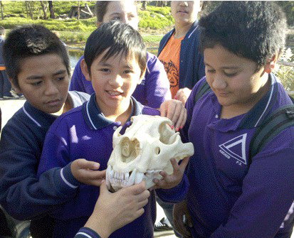 Ardeer Primary School - Melbourne School 4