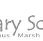 Darley Primary School - Melbourne School