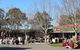 St Helena Secondary College - thumb 2
