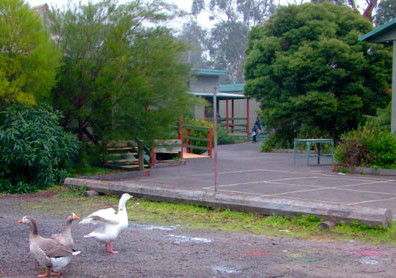 Village School Inc - Melbourne School 1