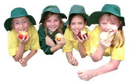 Holy Family Primary School Mt Waverley - Melbourne School 1