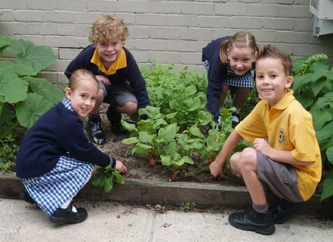 St Raphael's Catholic Primary School - Melbourne School 1