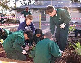 St Albans North Primary School - Melbourne School 2