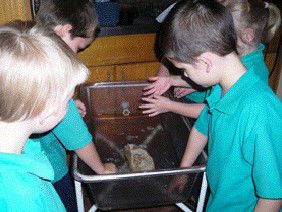 Naranga School  - Melbourne School 3