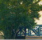 Sherbrooke Community School - Melbourne School