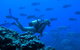 Aquatic Adventures Courses - thumb 0