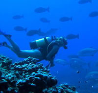 Aquatic Adventures Courses - Melbourne School