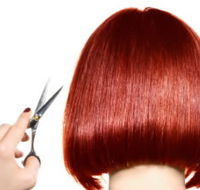 The Angel Hair  Beauty Institute- Hair  Beauty School Ballarat - Melbourne School
