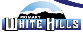 White Hills Primary School - Melbourne School 0