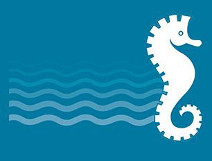 Elwood College - Melbourne School 1