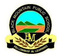 Black Mountain Public School - Melbourne School