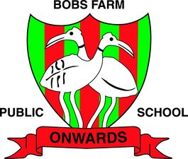 Bobs Farm Public School - Melbourne School 0