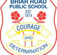 Briar Road Public School - Melbourne School