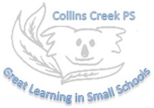 Collins Creek Public School - Melbourne School 0