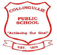 Corrimal Public School - Melbourne School