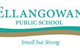 Ellangowan Public School - thumb 0