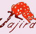 Jajirdi Consultants - Melbourne School