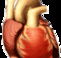 Lynex Health Care  Training Services - Melbourne School