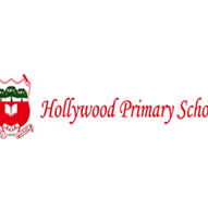 Hollywood Primary School - Melbourne School