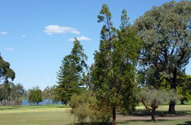 Perth Cbd And Inner Suburbs WA Melbourne School
