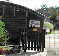 Treetops Montessori Primary School - Melbourne School