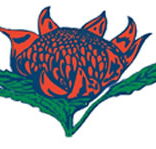 Hurstville South Public School - Melbourne School